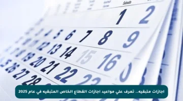 إجازات متبقية.. تعرف على مواعيد إجازات القطاع الخاص المتبقية في عام 2025
